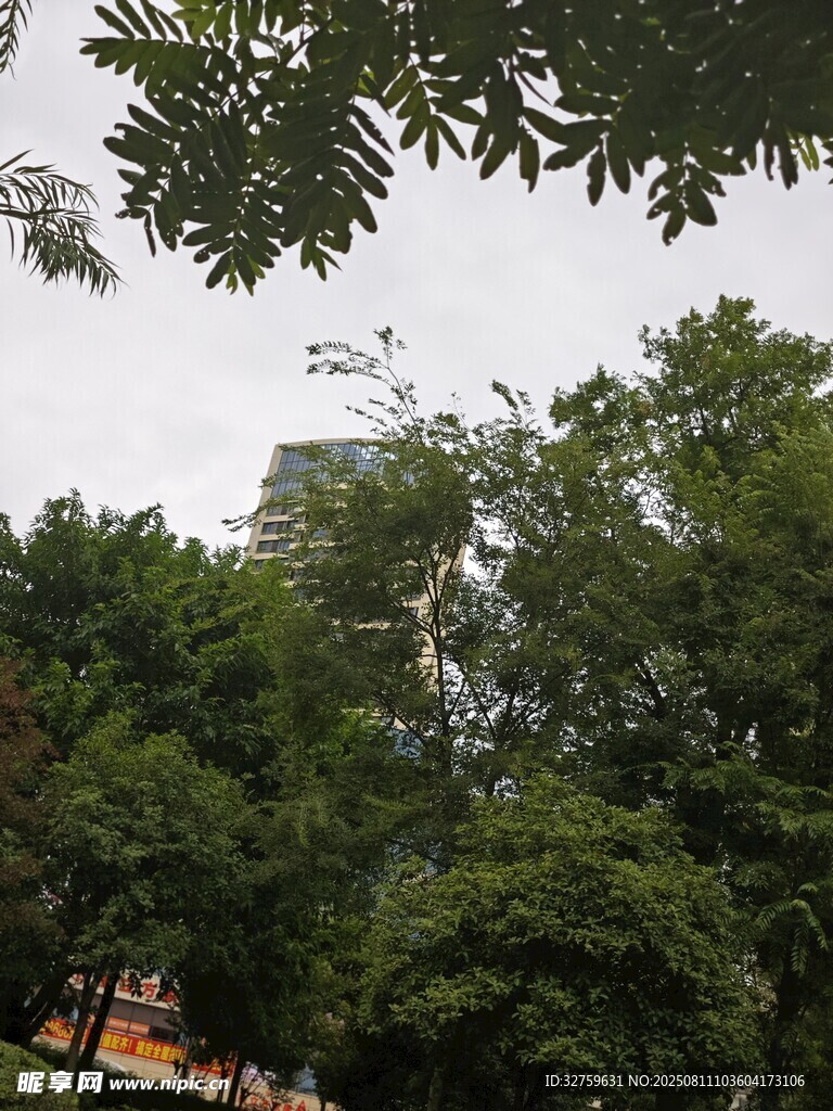 綠樹成蔭的戶外景致