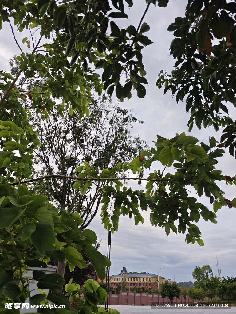 綠樹掩映下的遠景