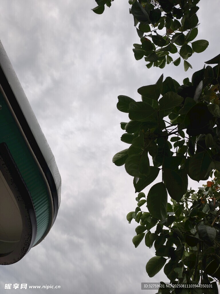 仰視視角下的建筑與樹(shù)葉