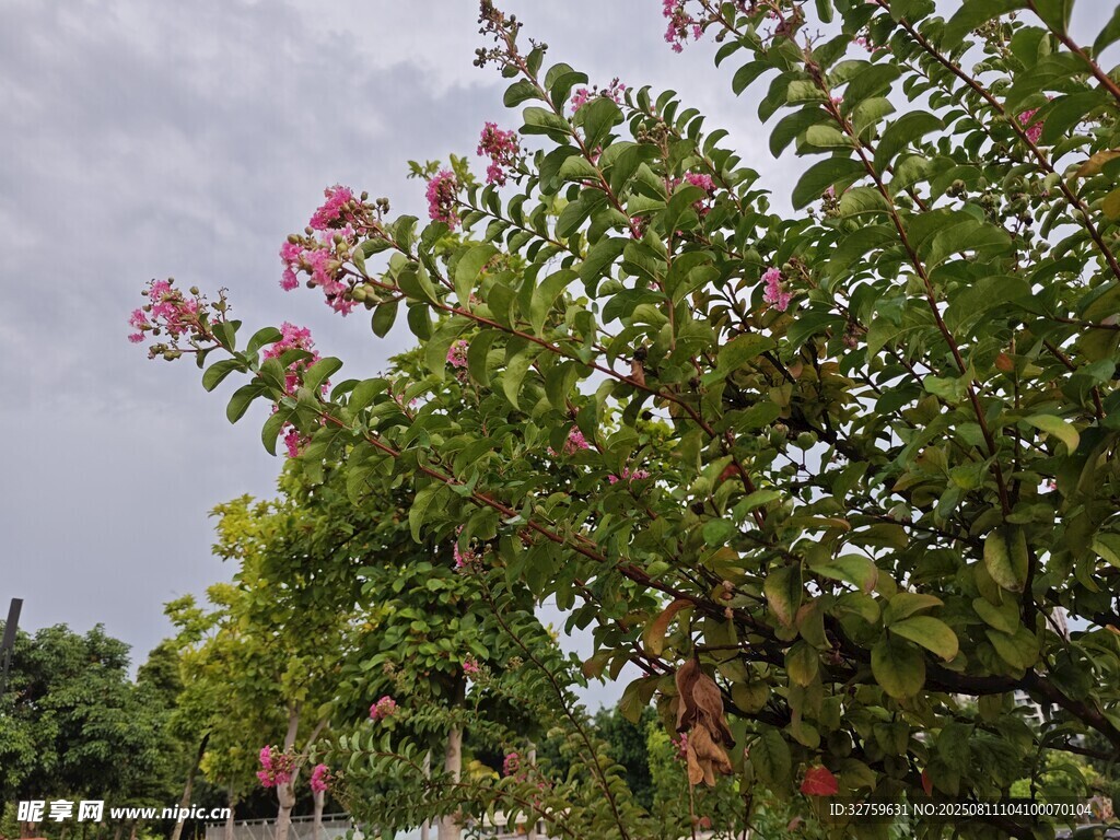 繁花綠樹(shù)的自然景致