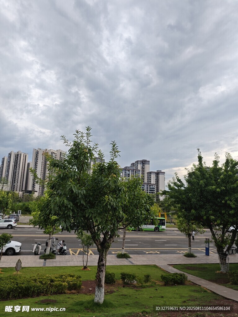 陰天城市街道綠樹(shù)景觀