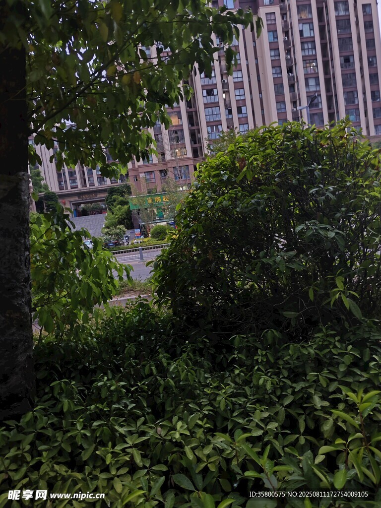 小區(qū)綠植環(huán)繞的高樓景觀