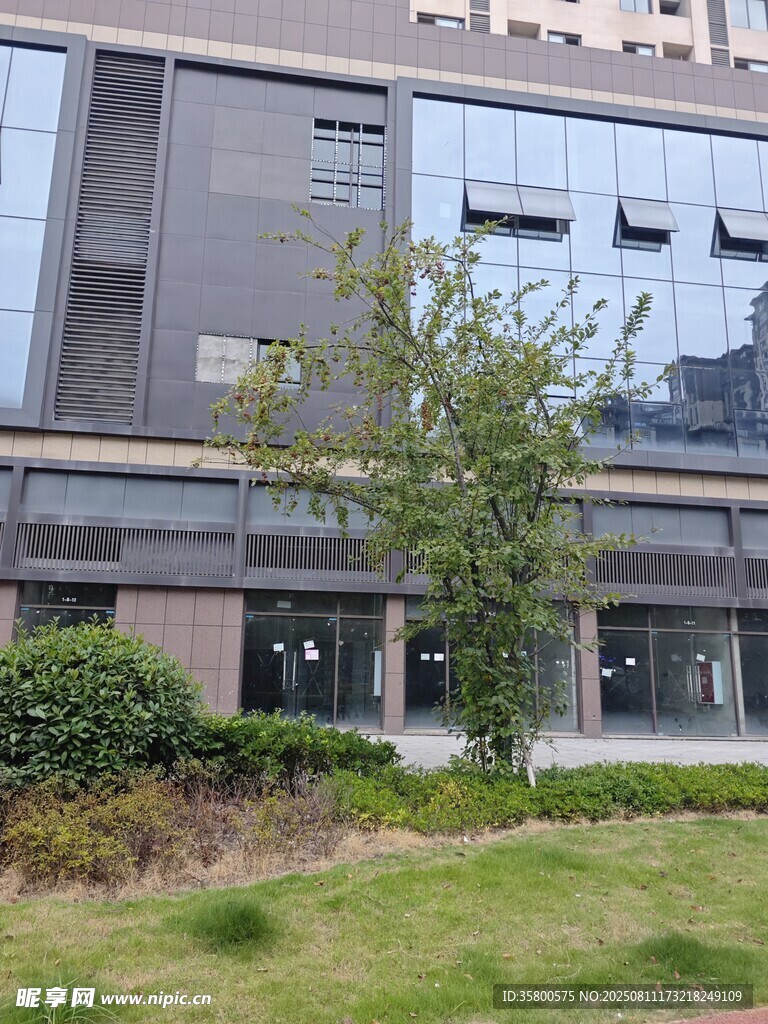 現(xiàn)代建筑旁的綠植景觀