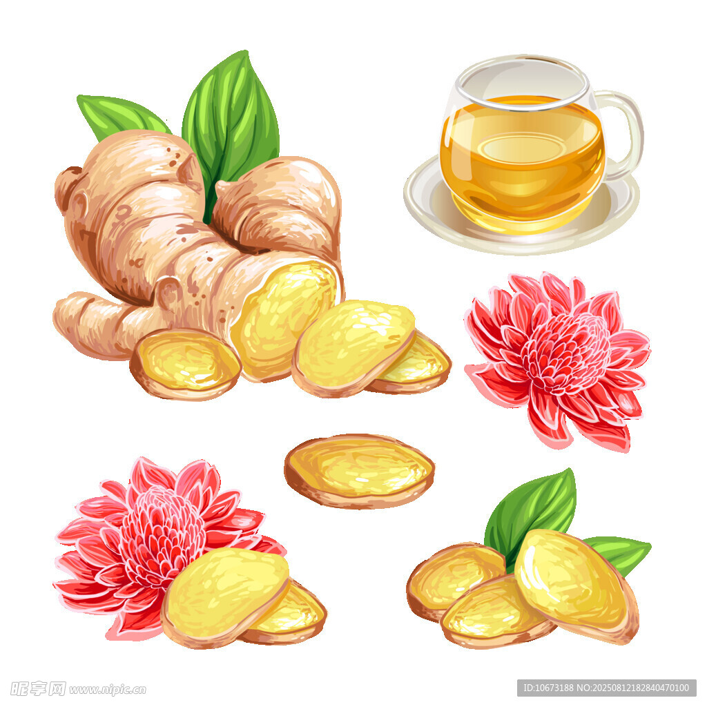生姜與蜂蜜及花卉插畫(huà)