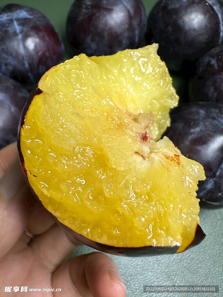 黑布李