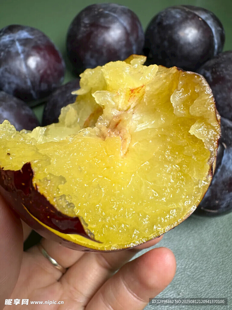 黑布李