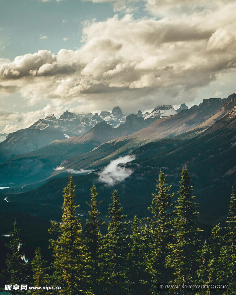 山間森林與云霧繚繞美景