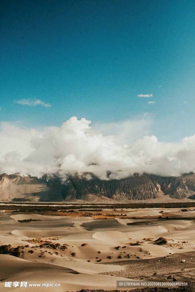 廣袤沙漠與遠方山巒美景