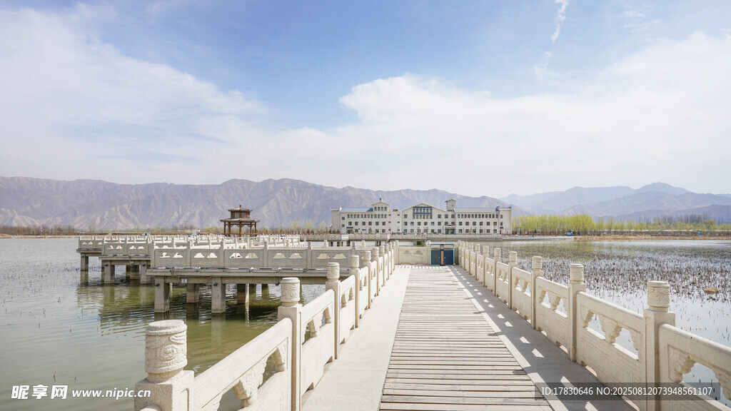 水川黃河濕地公園