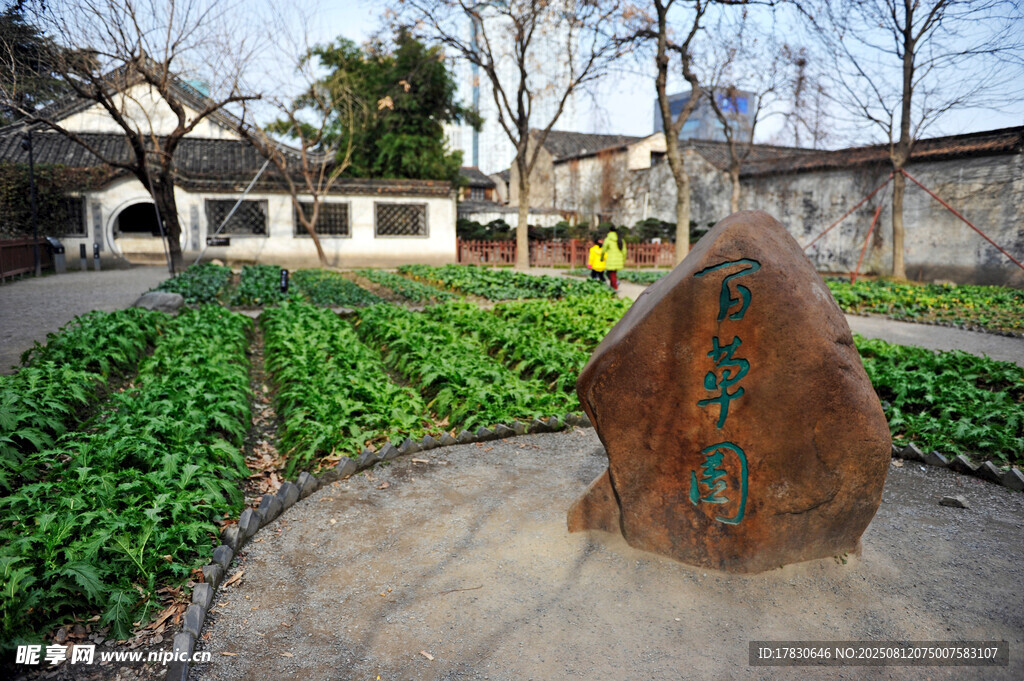 百草園