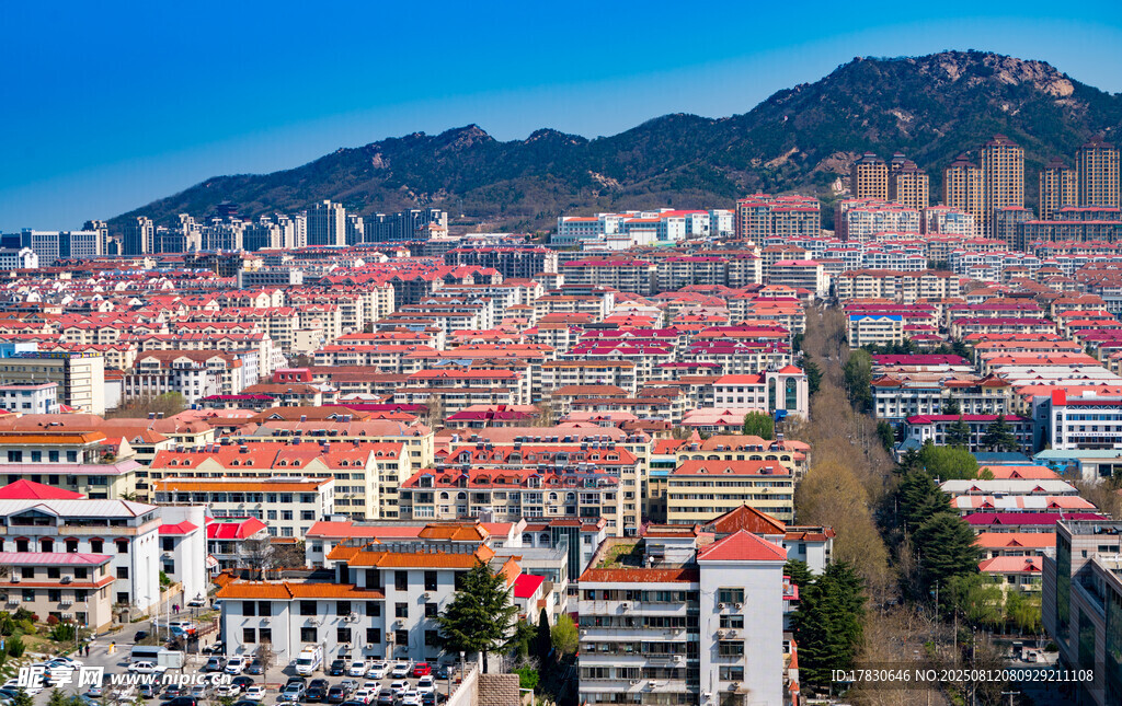 俯瞰城市與遠山美景