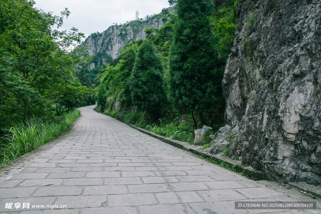 景區(qū)內(nèi)清新公路風(fēng)景