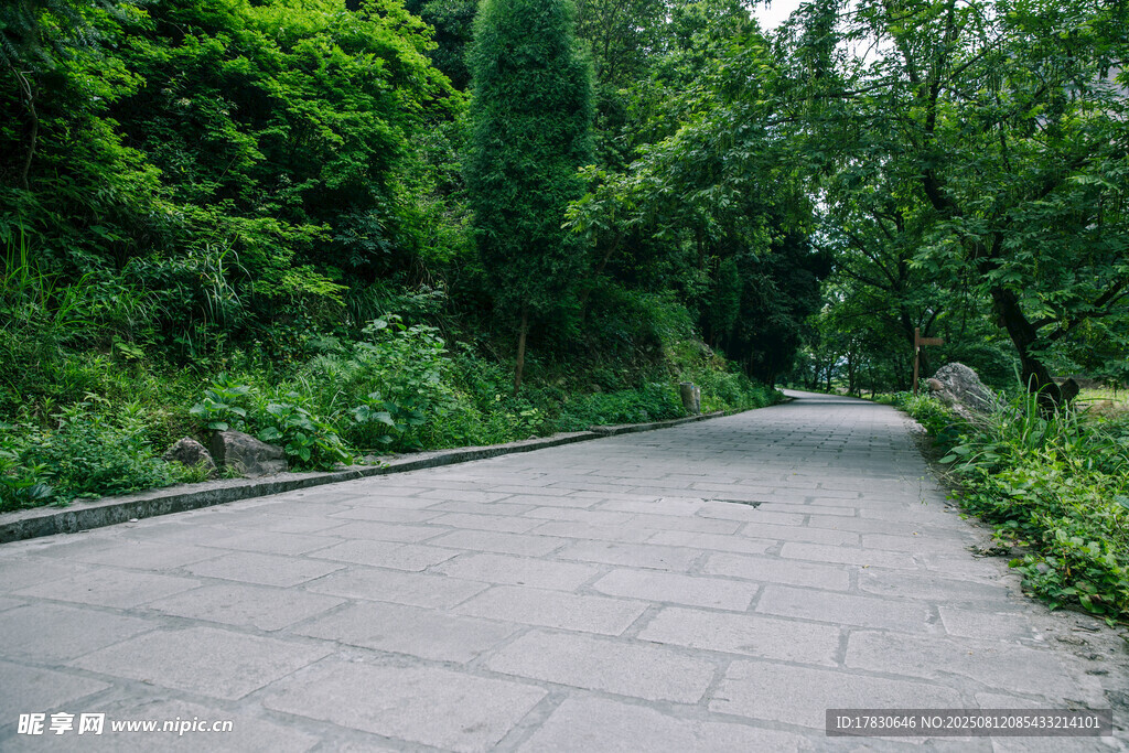 景區(qū)內(nèi)清新公路風景