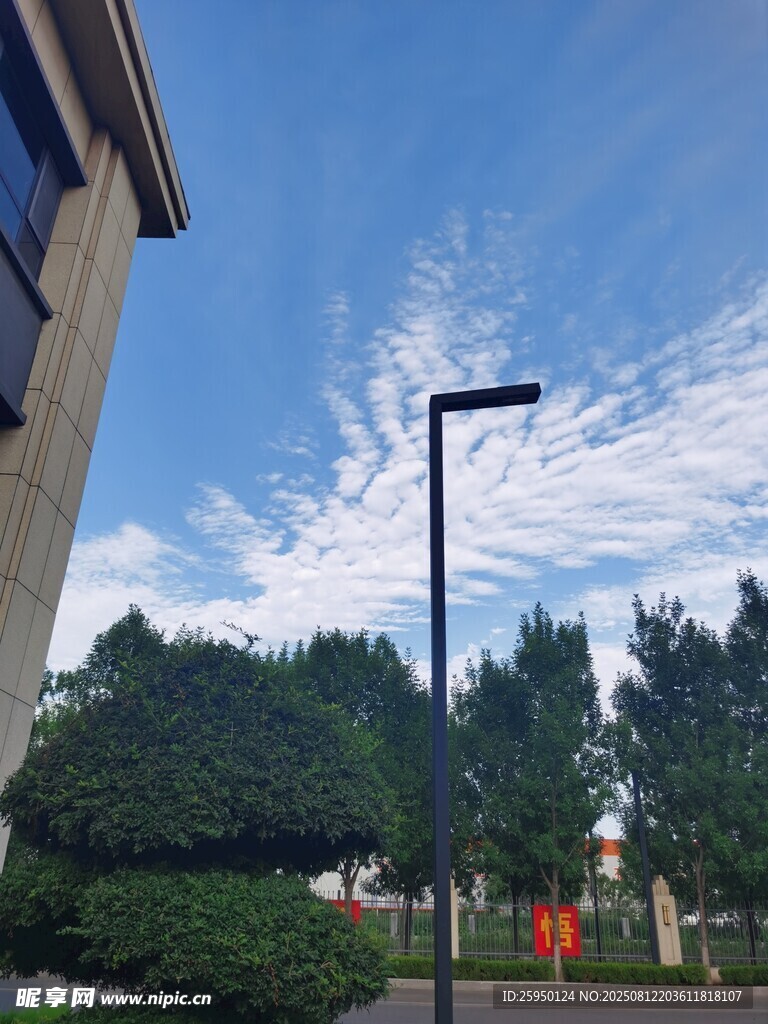 戶外街景中的路燈與綠樹