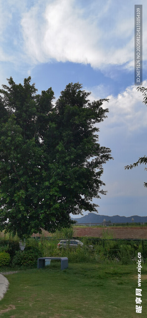 戶外綠樹藍(lán)天風(fēng)景圖
