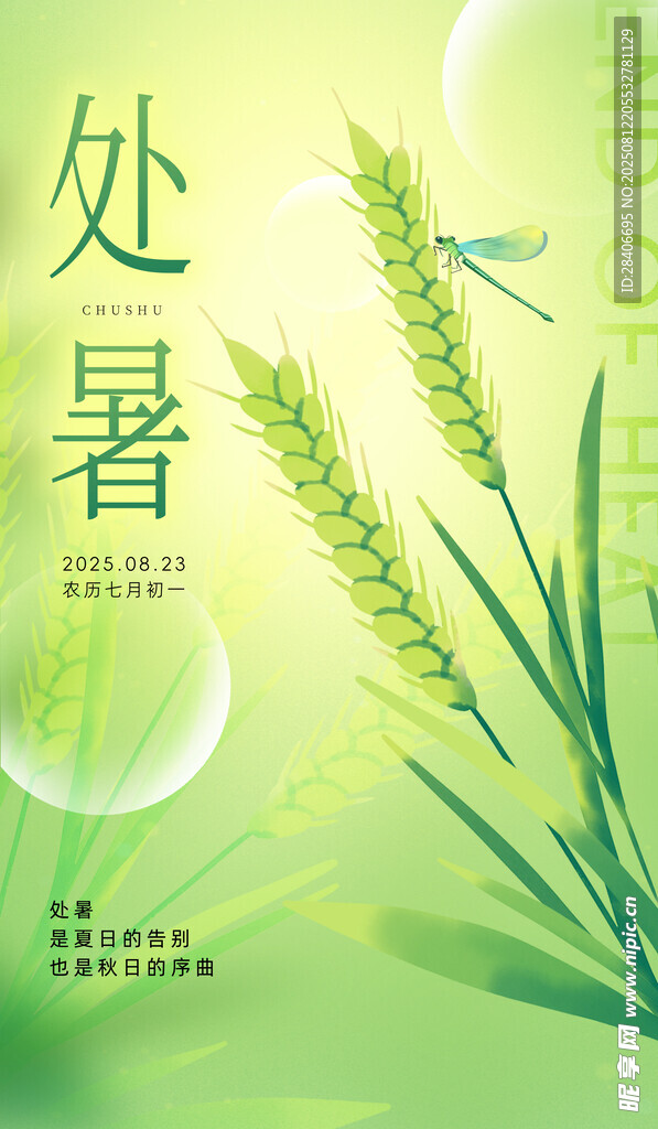 處暑時(shí)節(jié)麥穗圖