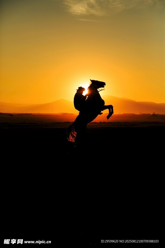 夕陽下駿馬奔騰的剪影