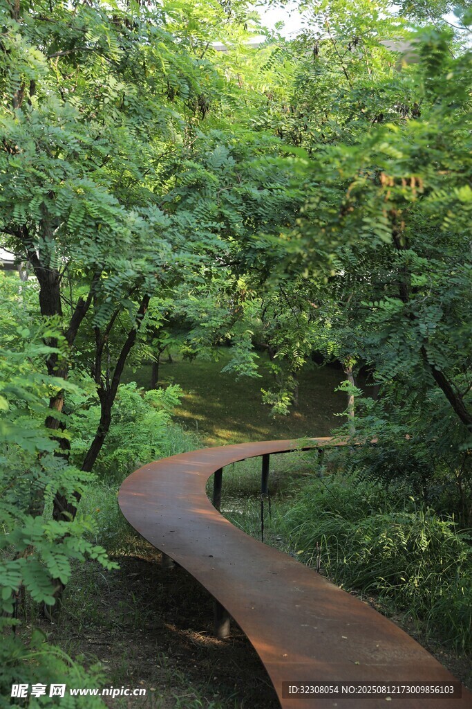林間蜿蜒木棧道