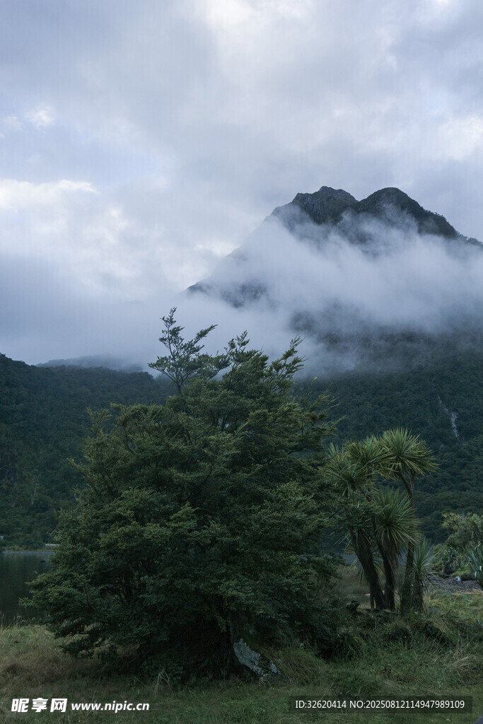 云霧繚繞的山間綠樹景致
