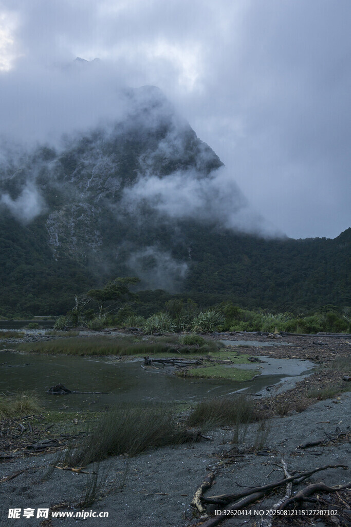 云霧繚繞的山間濕地景觀