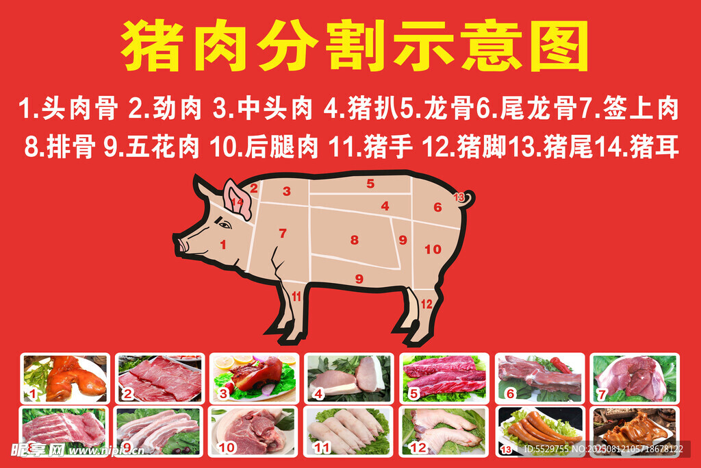 豬肉分割示意圖