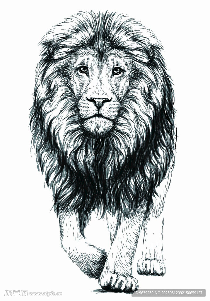 雄獅