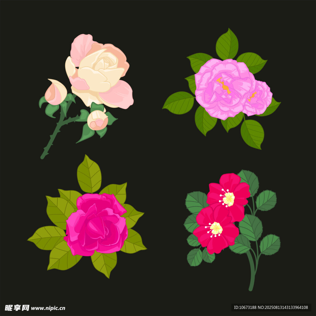 多彩花卉插畫