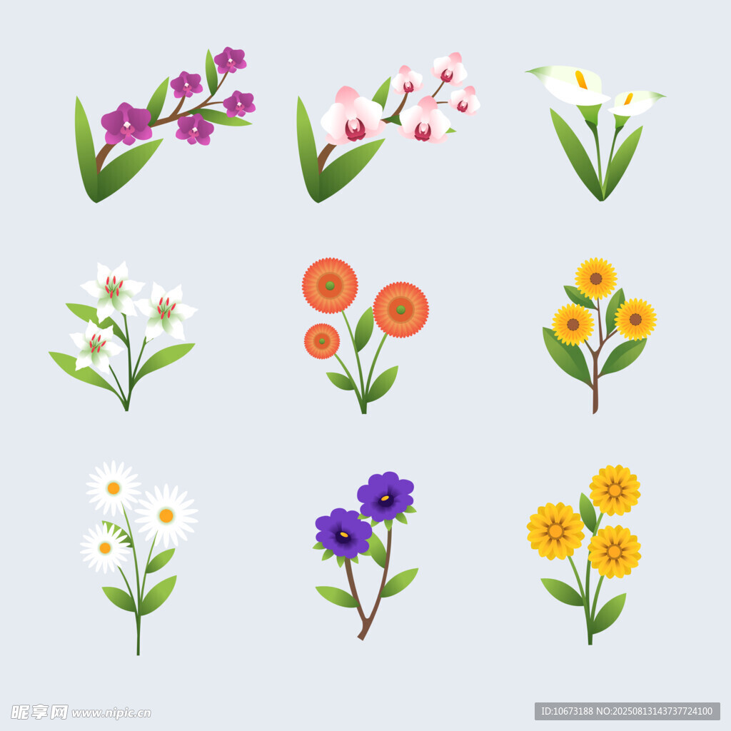 多彩花卉插畫集