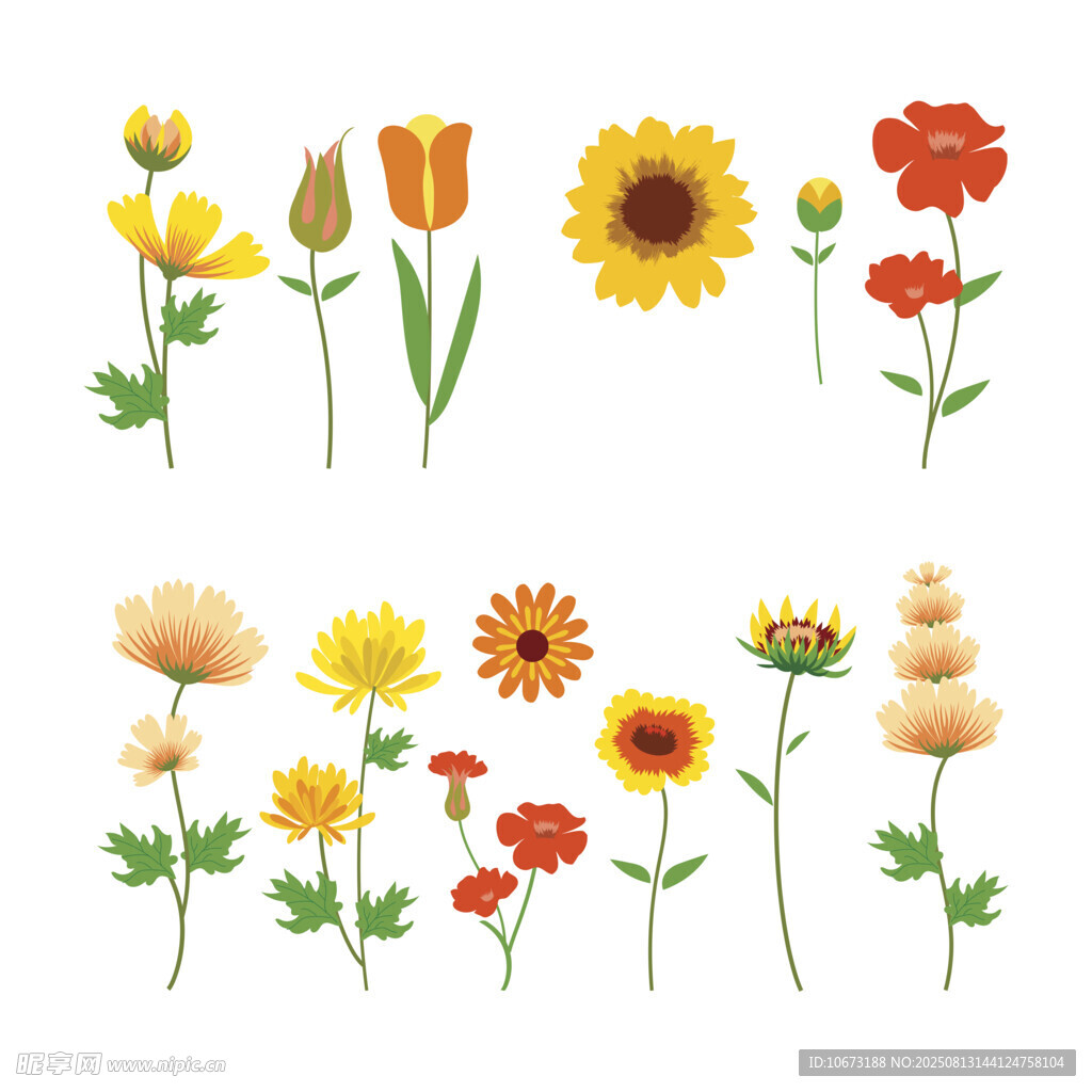 多彩花卉插畫集合