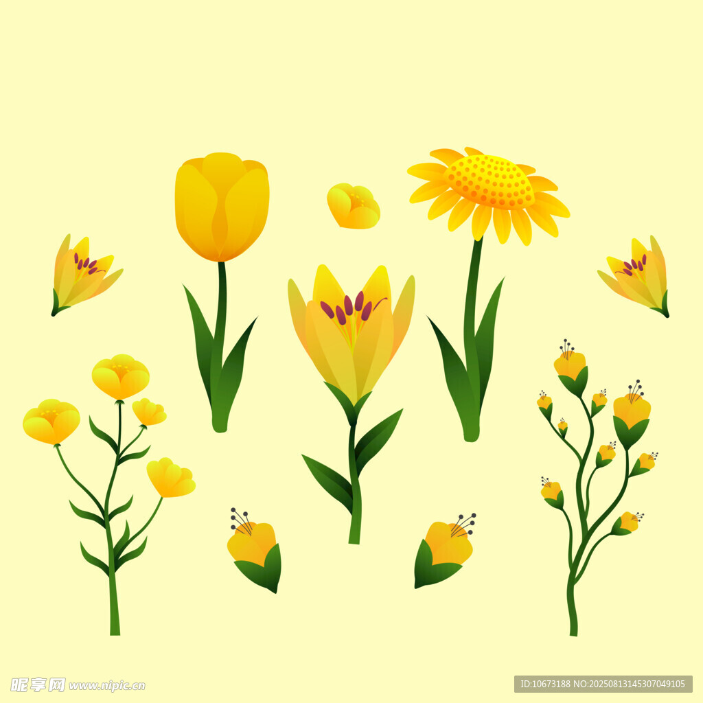 黃色花卉插畫