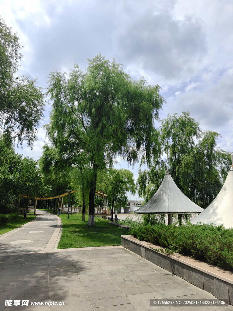 公園中的綠樹與特色建筑
