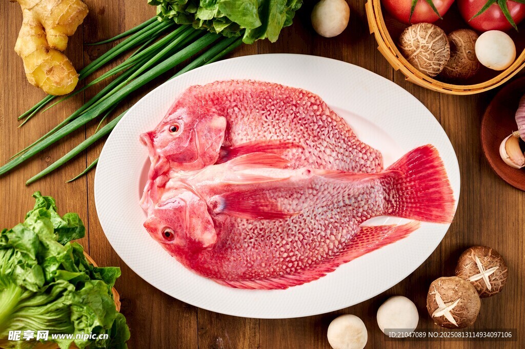 開(kāi)背紅鯛魚(yú)