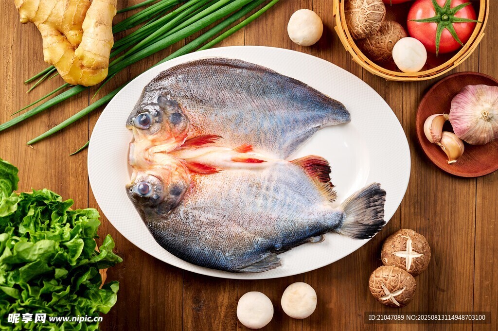 鯧魚