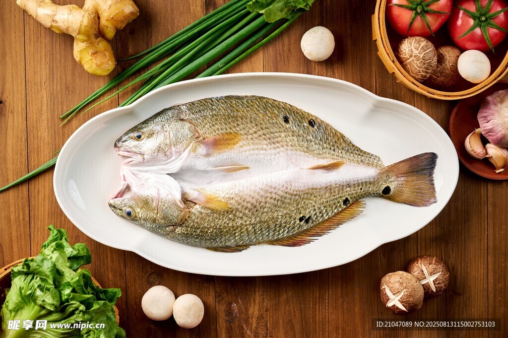 加州鱸魚