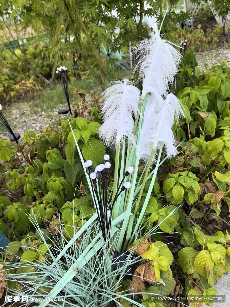 白色蒲葦造型裝飾燈與綠植景觀