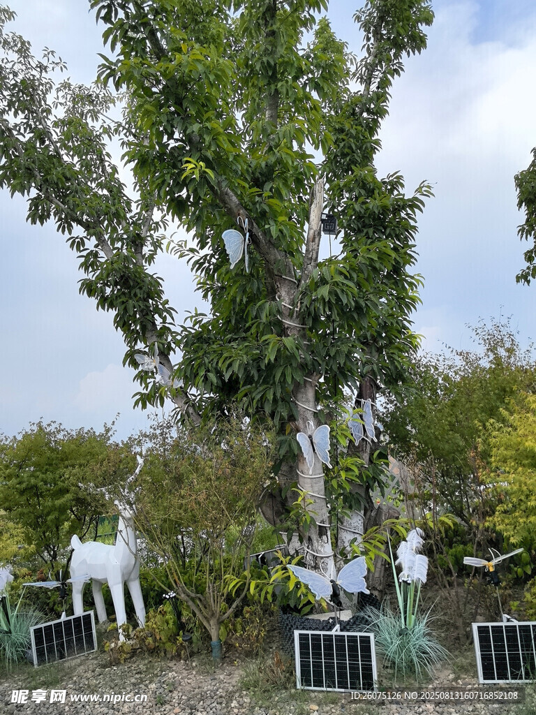 繁茂大樹(shù)下太陽(yáng)能板與裝飾擺件