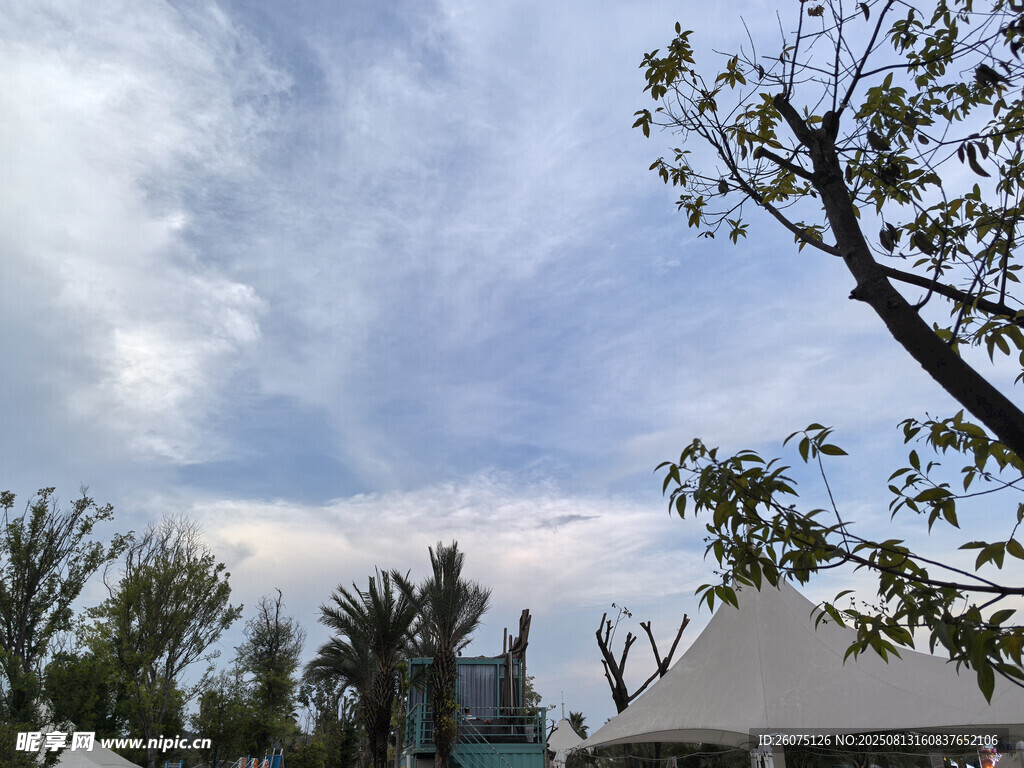 戶外露營場景的天空與樹