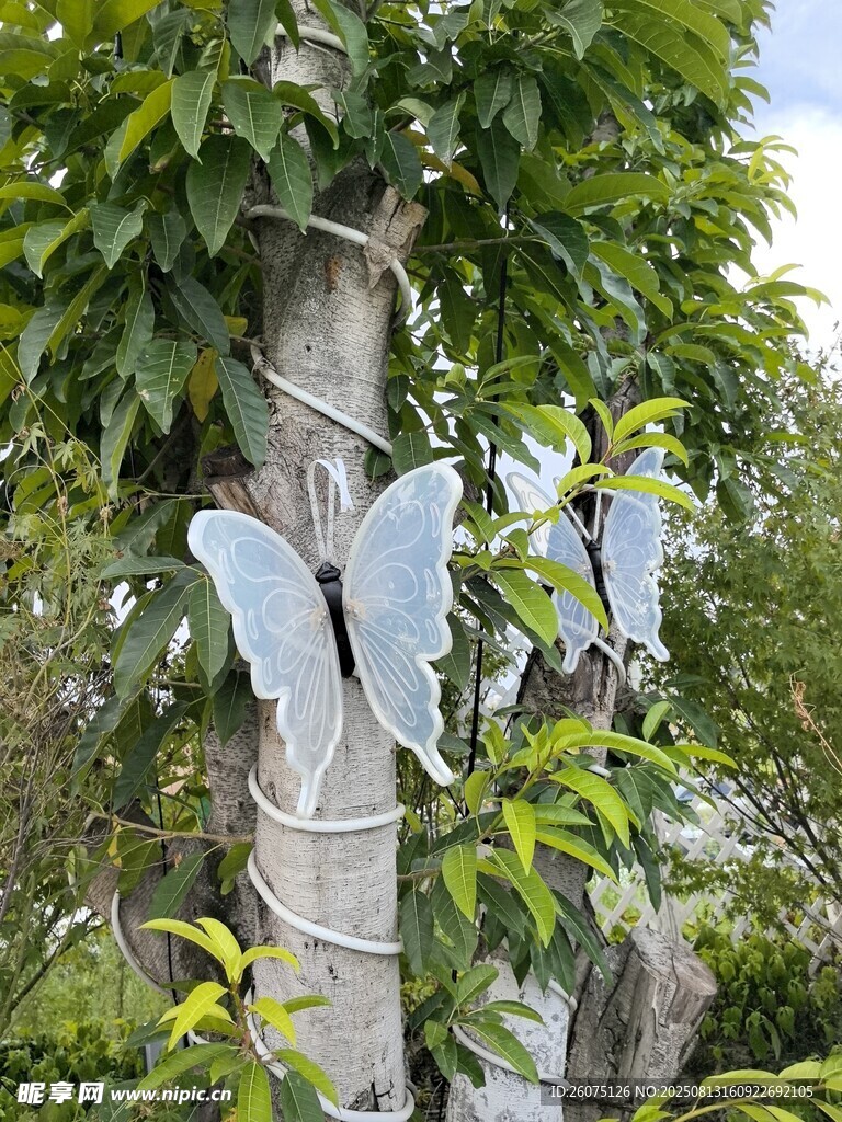 樹(shù)上的金屬蝴蝶裝飾