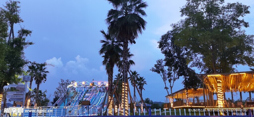 海濱夜景中的棕櫚樹與建筑