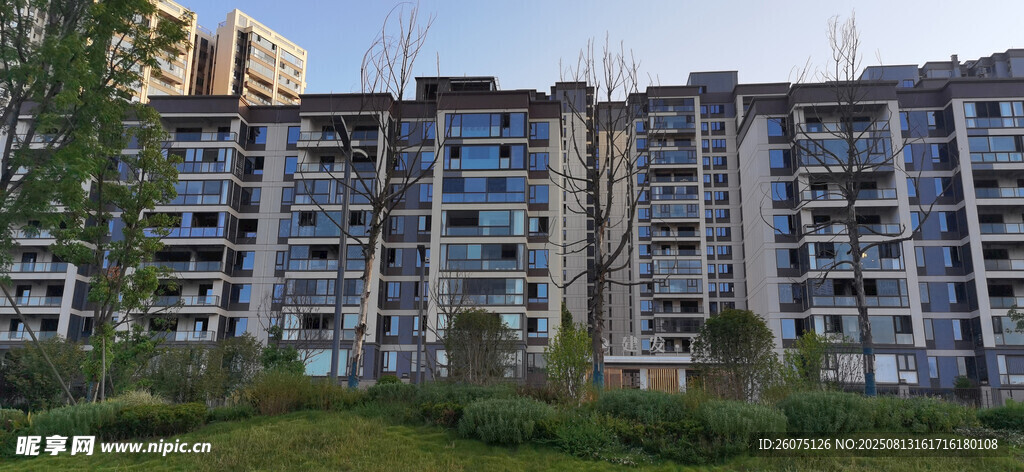 高層住宅樓與周邊綠植景觀