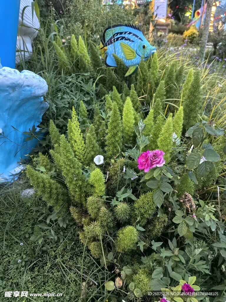 花園綠植花卉景觀一角