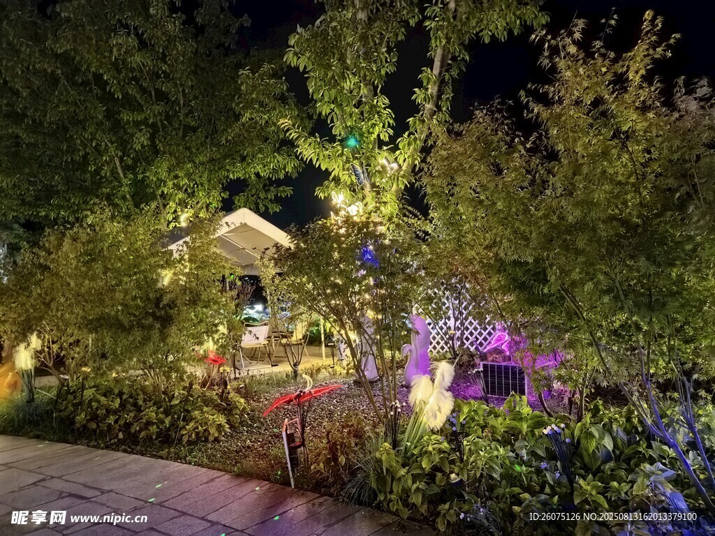 夢(mèng)幻夜色中的花園景致