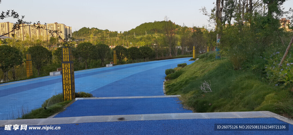 公園里藍色道路旁的自然風景