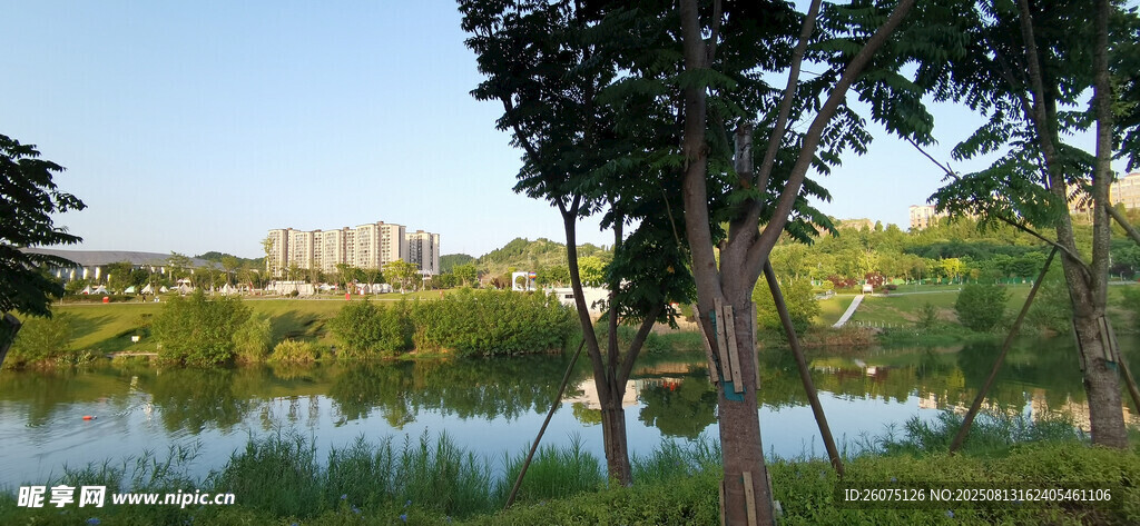 湖畔綠樹環(huán)繞的自然景致