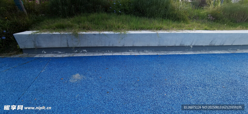 藍色地面與花壇邊緣景觀
