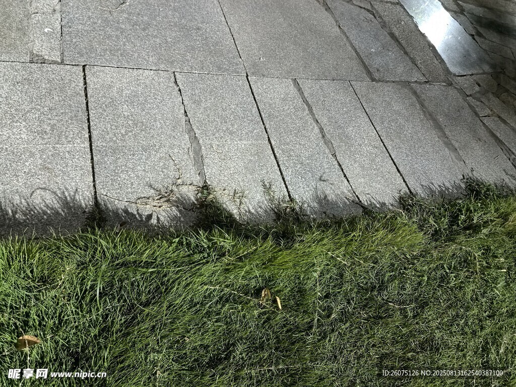 路邊的磚石與叢生綠草