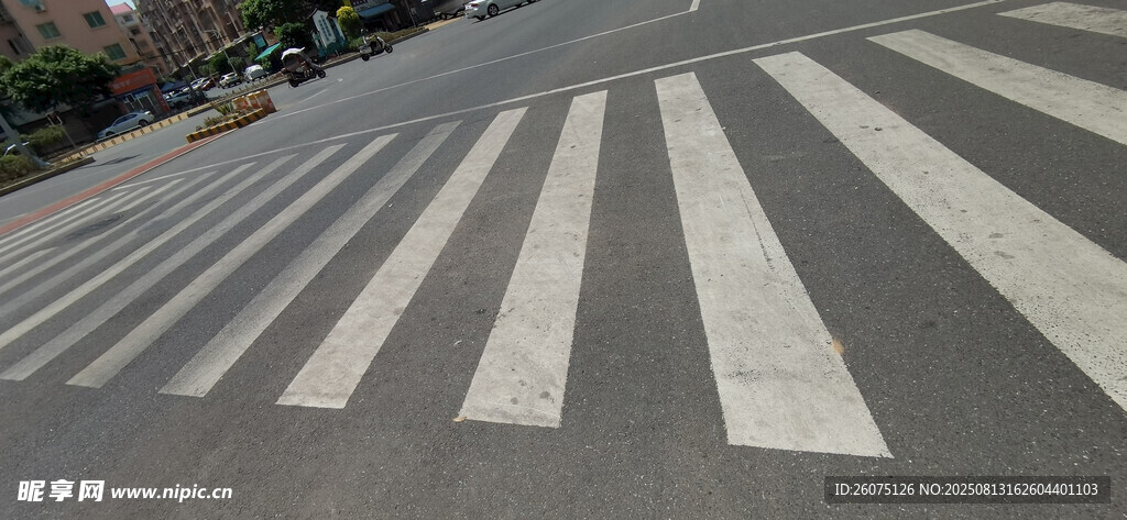 城市道路上的斑馬線特寫