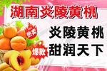 炎陵黃桃