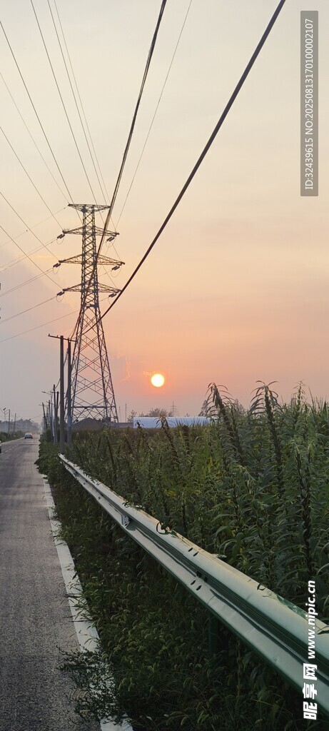 夕陽下路旁的電線與田野