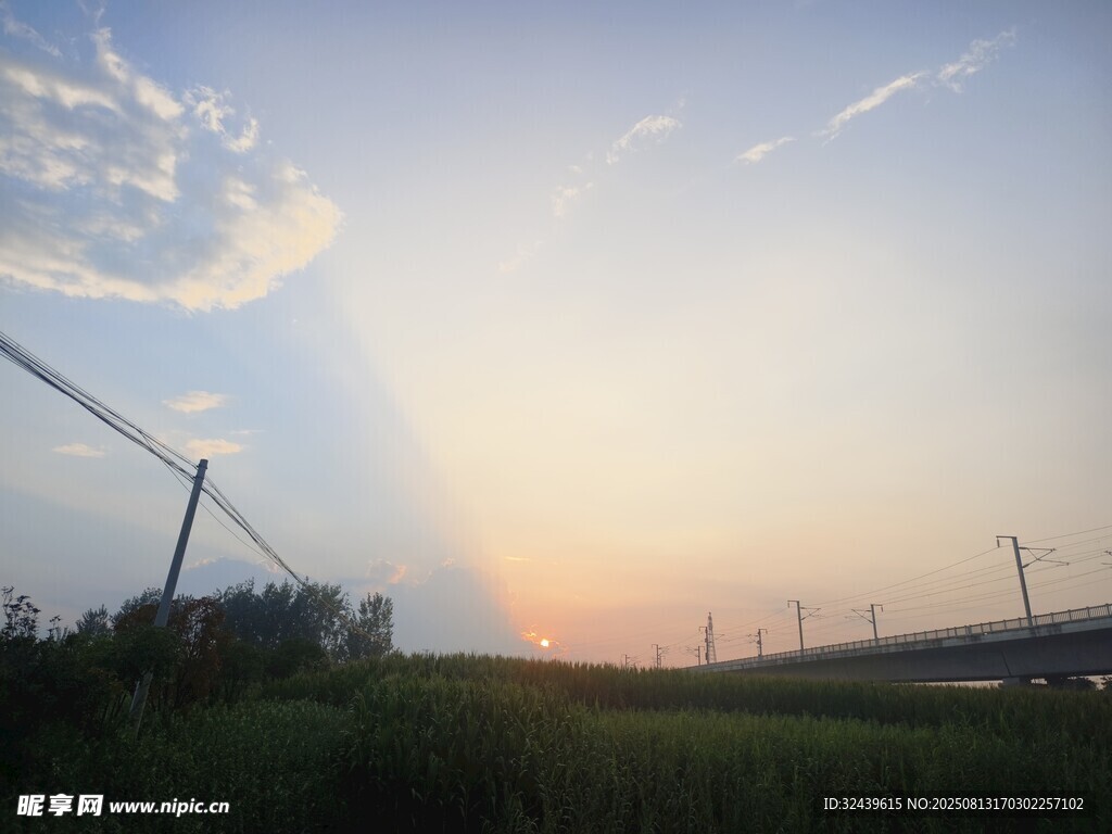 夕陽下的田野與電線桿